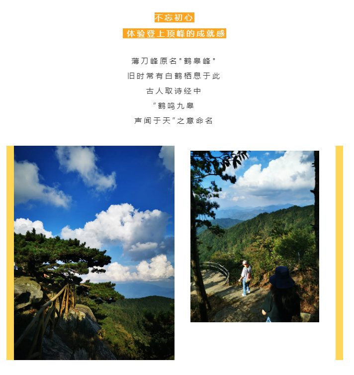 秋天了，來一場成年人的秋游吧(圖2)