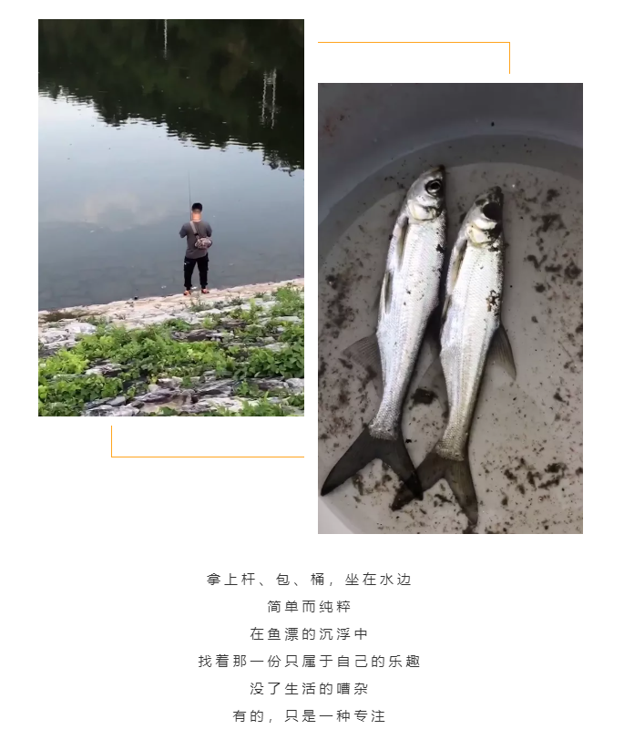 秋天了，來一場成年人的秋游吧(圖5)